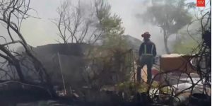 Incendio en Pinares Llanos (Móstoles)