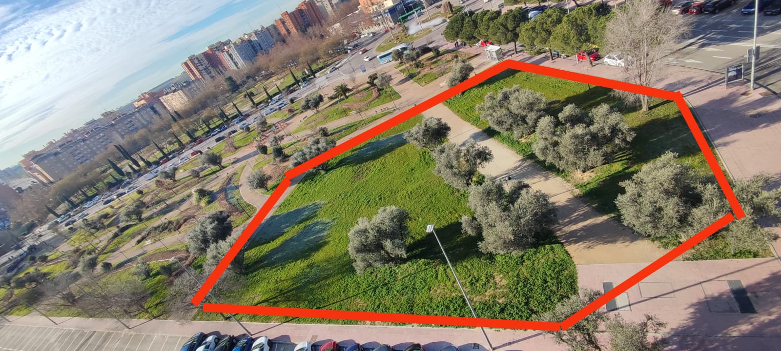 Parque de los Olivos: Rechazan la propuesta de rescatar la promotora que quiere destruirlo
