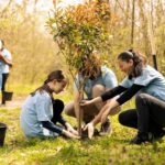 Presentamos el Calendario 2026 de Acción Ecologista Madrid Oeste.