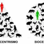 Silvopastoralismo: antropocentrismo disfrazado y romantización de la explotación