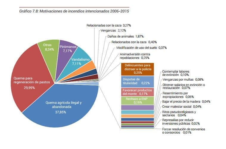 Preocupación por los planes forestales del gobierno regional