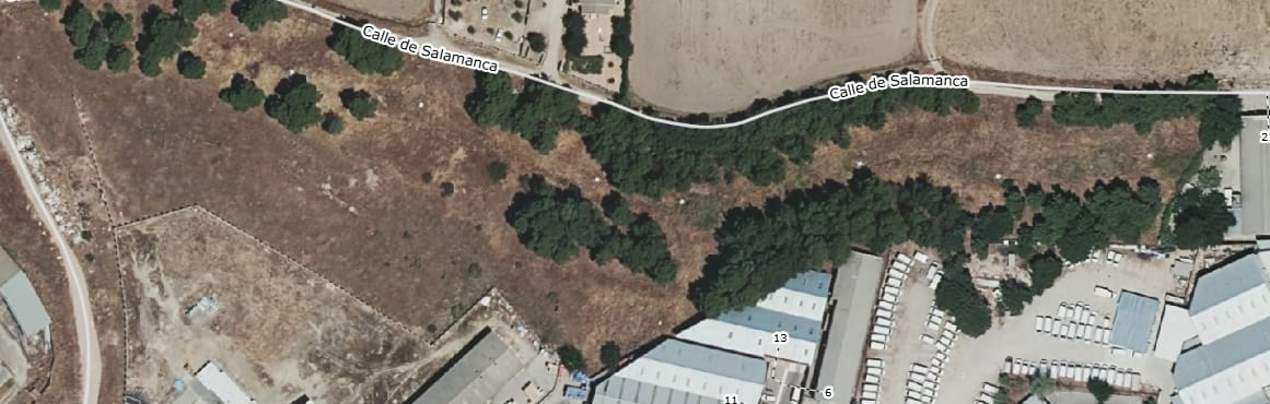 La Plataforma de Vecinos por Valdonaire denuncia el estado de abandono del histórico pinar y de los caminos y calles de su entorno, así como la falta de limpieza y vigilancia en el polígono industrial.